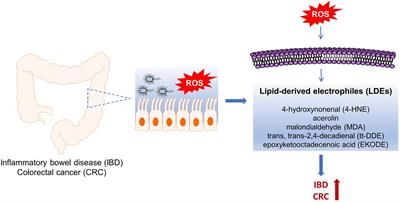 Roles of Lipid Peroxidation-Derived Electrophiles in Pathogenesis of Colonic Inflammation and Colon Cancer